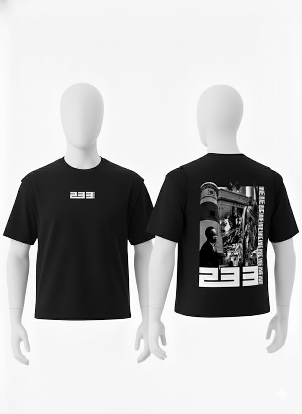 233graphic T